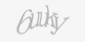 Güvenlik kodu